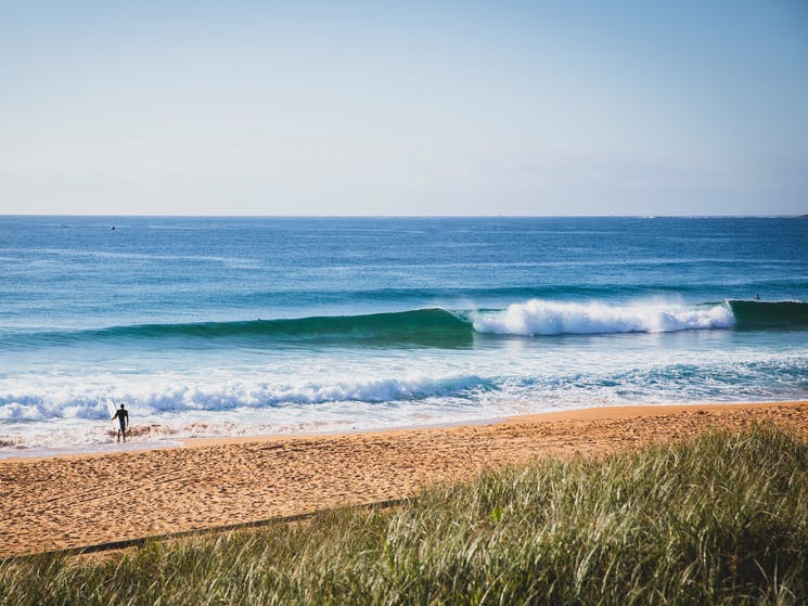 Caravan Destinations Australia: Narrabeen