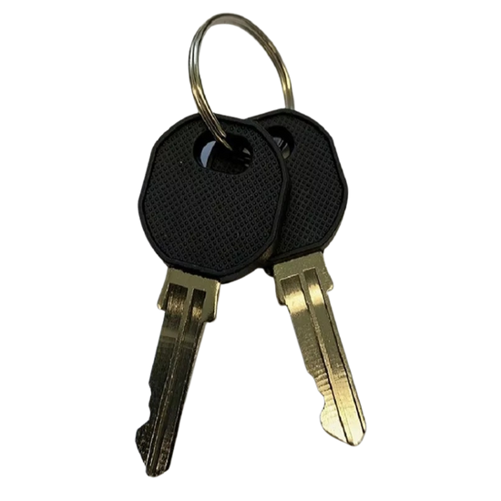 Coast Door Replacement Key Pair. Code A12 Sold Per Pair