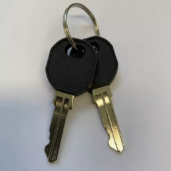 Coast Access Door Replacement Key PAIR. Code A21 SOLD PER PAIR