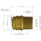 JG Watermark 12mm to 1/2" Male BSP