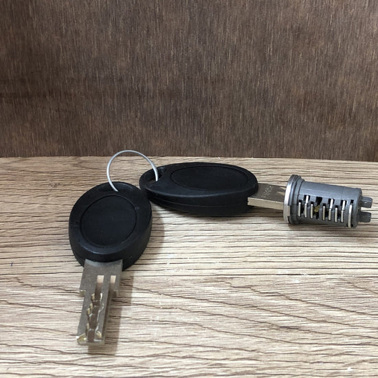 Barrel and Key - SK4/SK5 Access Door - Seitz